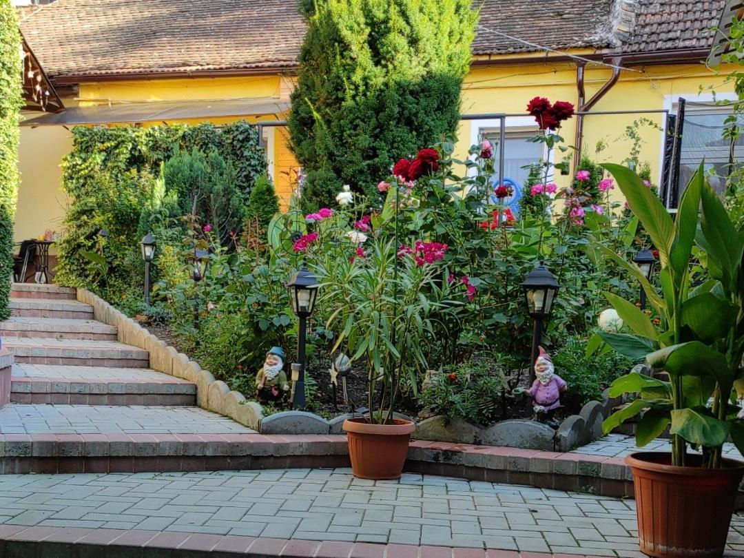 Color Home Hermannstadt Esterno foto